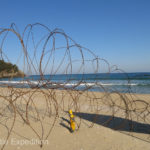 Part of Samcheok beach was barb-wired off. We heard that North Korean boats and divers, refugees but also spies and soldiers have tried to invade this peaceful spot on many occasions.