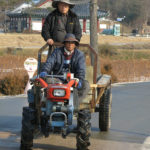 Hahoe villagers at work. Their traditional life does not stop because of visiting tourists.
