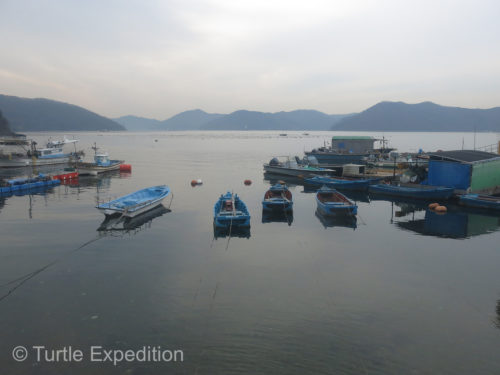 The tiny fishing harbor offered us a peaceful view on this final morning while drinking coffee.