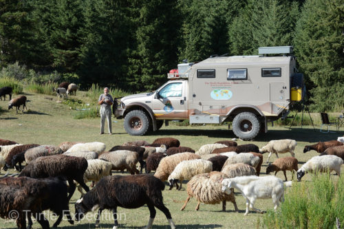 While eating breakfast in the Karakol Valley, Kyrgyzstan, Gary was watching local traffic pass by.