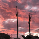 Typical sunset at our camp in Cataviña. Can you see why we nicknamed it Turtle Camp?