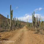 Smooth roads like this quickly turned into rocks and 4-inch washboard.