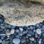 Pounding waves slowly eroded the conglomerate of sand, rocks and shells.