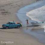 Every morning the fishermen haul their boats out of the surf with their catch.