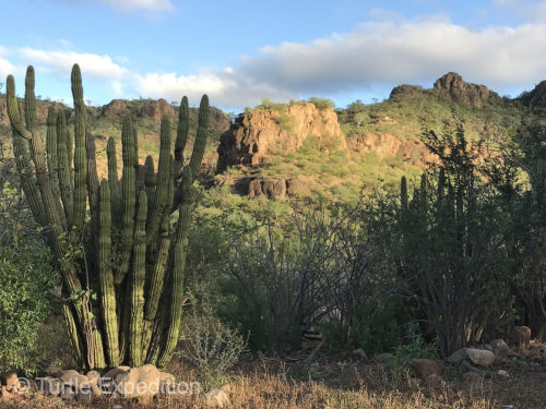 The mountains west of Loreto are full of hiking trails.