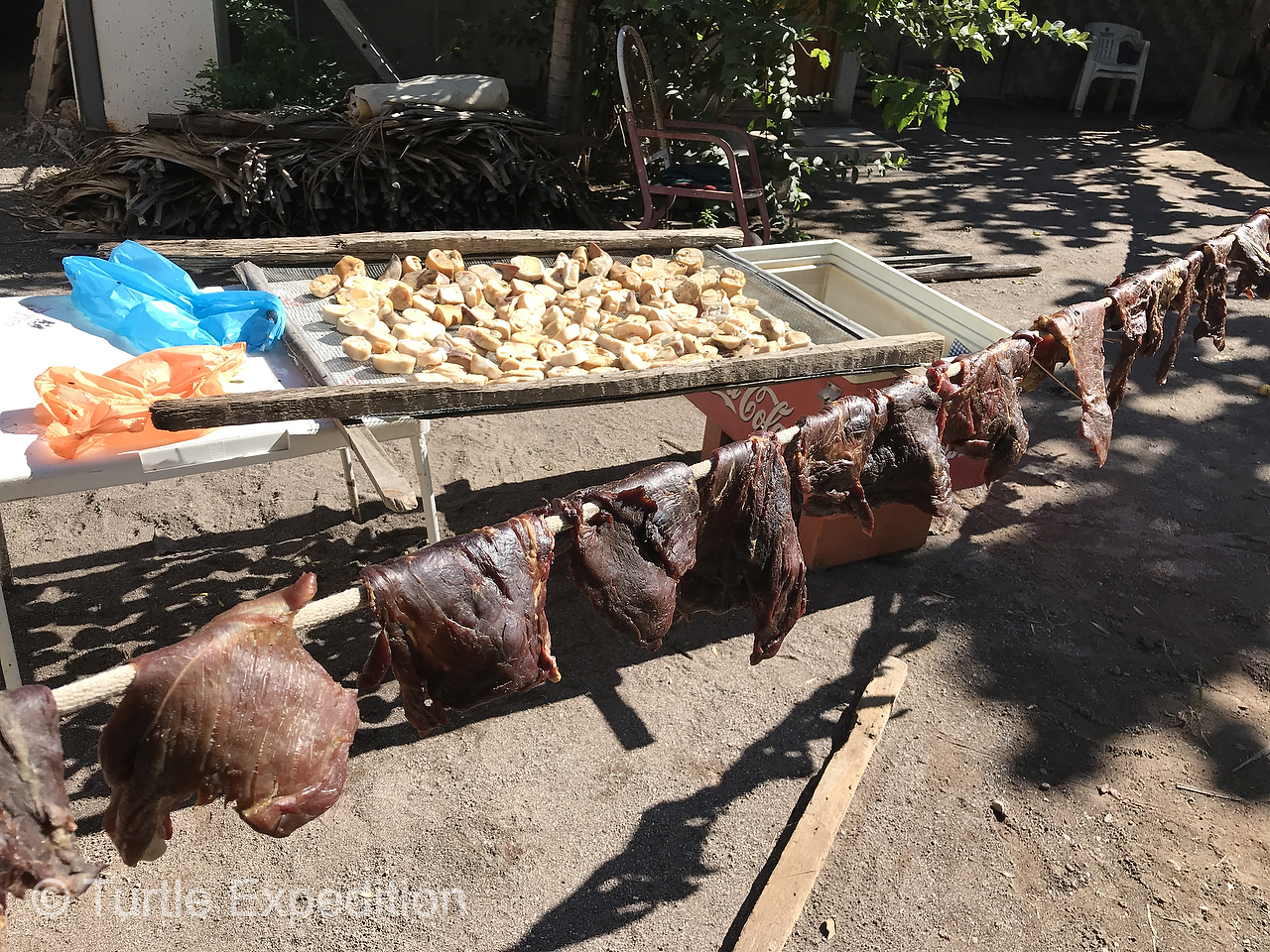 Without refrigeration meat is preserved by drying.