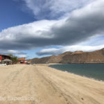 Gonzaga Bay is surely one of the nicest beaches in all of Baja California for walking and swimming.