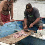 José gave us a lesson on a quick way to clean triggerfish resulting in a pile of nice fillets with no bones.