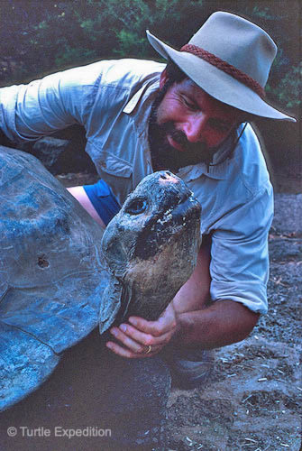 It was 1988 and we were exploring the amazing Galapagos Islands off the coast of Ecuador. Lonesome George was hanging out at the Charles Darwin Research Station on Santa Cruz Island. He loved to have his neck rubbed.