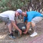 Thanks to a forklift and a couple of body-builder friends, this 300-lb tortoise now has a safe home in front of our office.