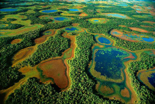 Encompassing between 54,000 and 75,000 sq mi, the Pantanal contains various sub-regional ecosystems, each with distinct hydrological, geological and ecological characteristics.