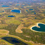 The Pantanal consists of various sub-regional echo systems.