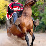 Horses and dogs are a critical elements of the big ranches on the South American Pampas.