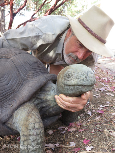 We found a great cement replica of our mascot and named him Lonesome George II.