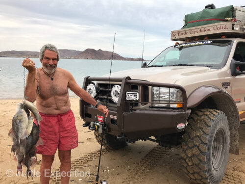 Way to go Gary! Not bad for a day's catch on our last trip into Baja.